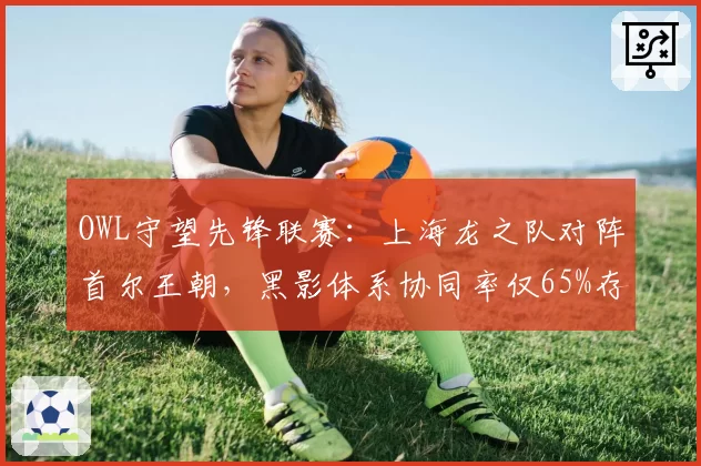 OWL守望先锋联赛：上海龙之队对阵首尔王朝，黑影体系协同率仅65%存漏洞