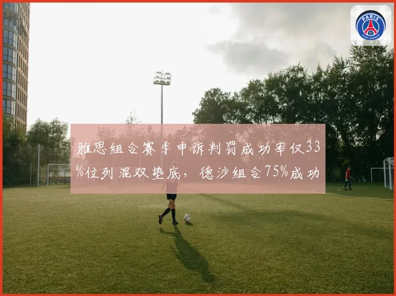 雅思组合赛季申诉判罚成功率仅33%位列混双垫底,德沙组合75%成功率凸显判罚差异