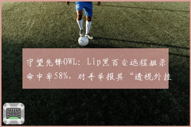 守望先锋OWL:Lip黑百合远程狙杀命中率58%,对手举报其“透视外挂”引调查